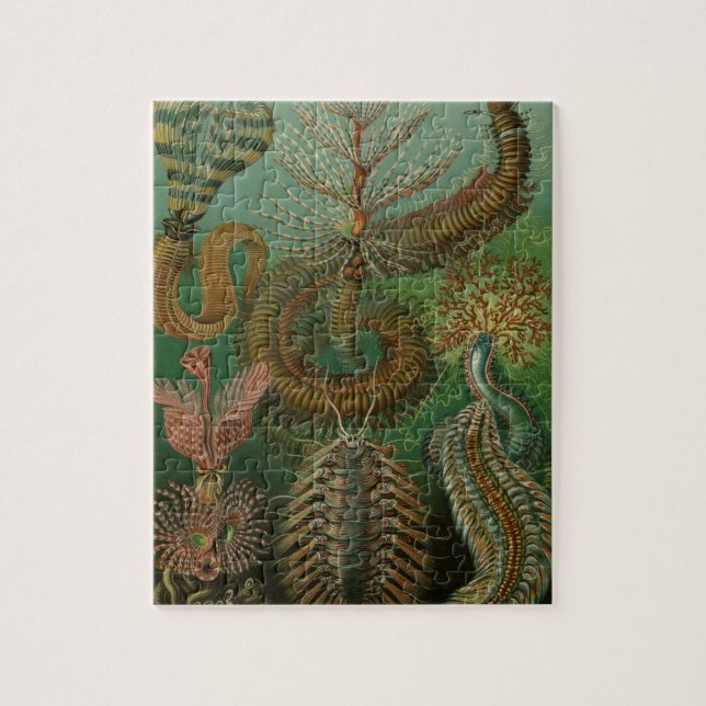 Puzzle Gusanos antiguos Annelids Chaetopoda por Ernst Hae (Vertical)