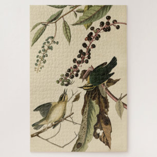 Puzzle Gusanos comiendo Warbler - Aves de América de Audu