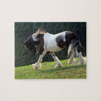 Puzzle Gypsy Vanner