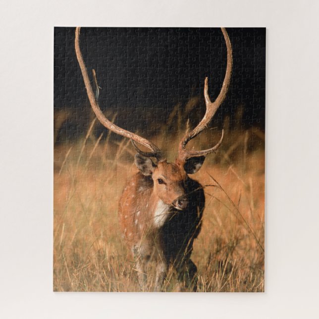 Puzzle Hábitat natural cínico | Parque nacional de Bandha (Vertical)