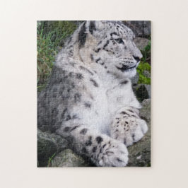 Puzzle Hacia fuera enfriada onza