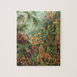 Puzzle Haeckel Muscinae<br><div class="desc">Ernst Haeckel Muscinae dibujo científico vintage</div>