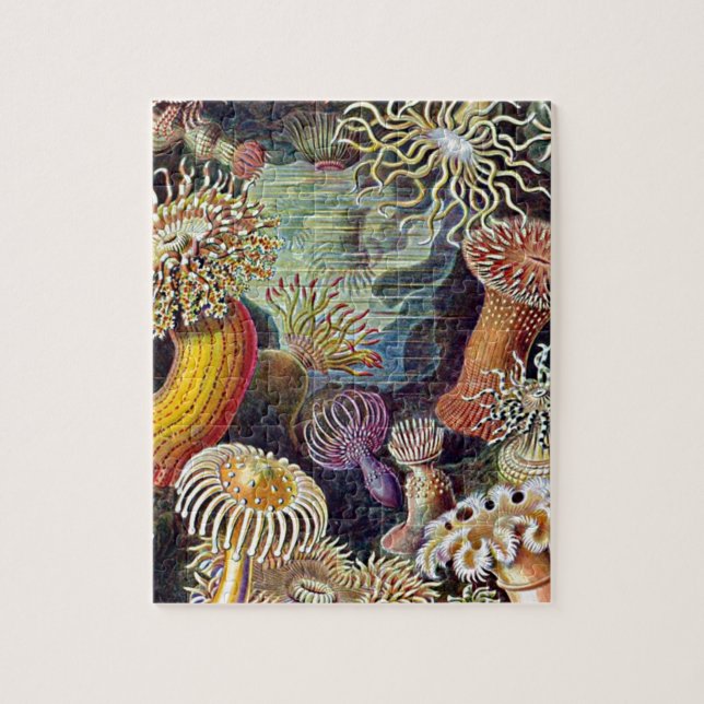 Puzzle Haeckel Sea Anemone Ocean Life Nature Art Pintura (Vertical)