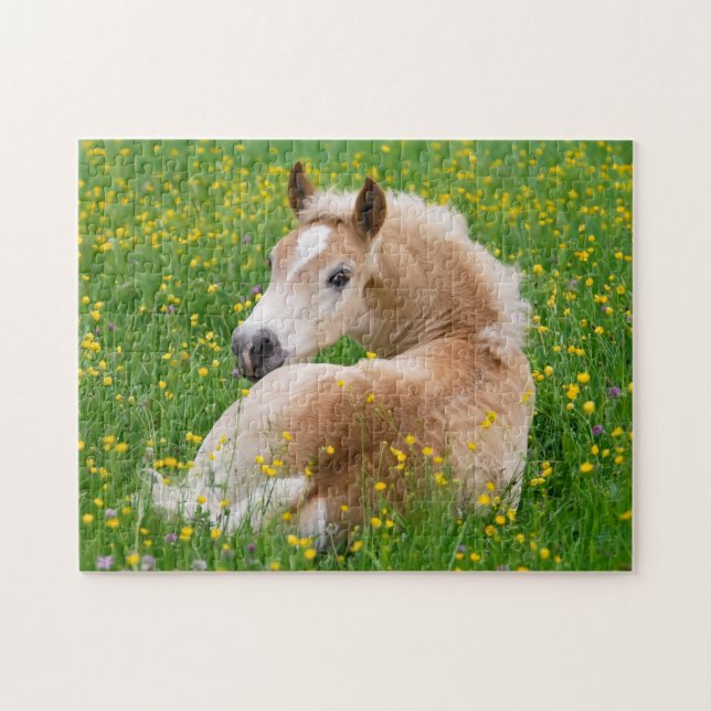 Puzzle Haflinger Caballo lindo de comida descansa en vise (Horizontal)