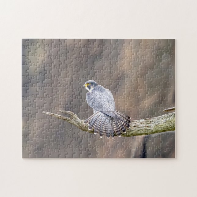 Puzzle Halcón Peregrino en el Parque Interestatal de Pali (Horizontal)