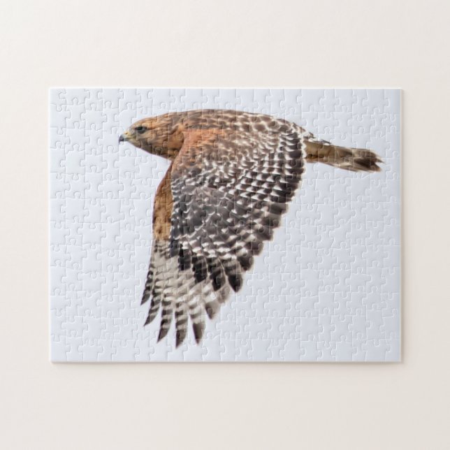 Puzzle Halcón Rojo con hombro en vuelo (Horizontal)