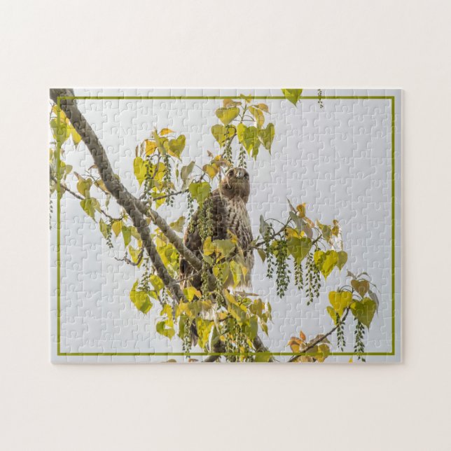 Puzzle Halcón Y Corazón (Horizontal)