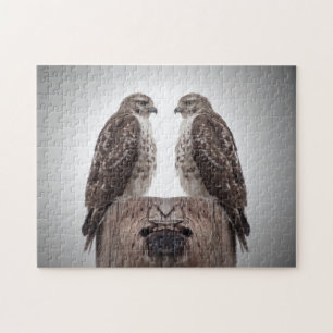 Puzzle Halcones en un poste