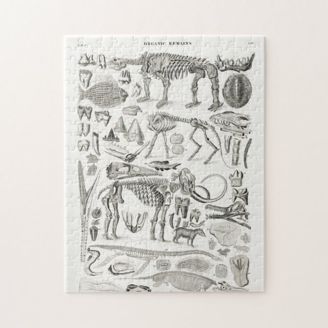 Puzzle Halloween de los animales del cráneo de Skeleton (Vertical)