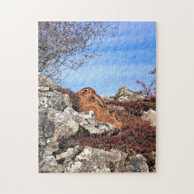 PUZZLE HARE (Vertical)