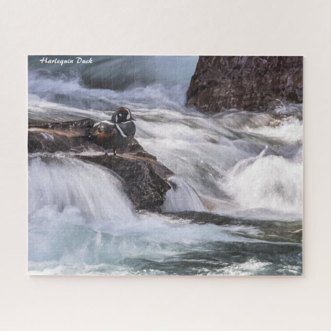 Puzzle Harlequin Duck (Horizontal)