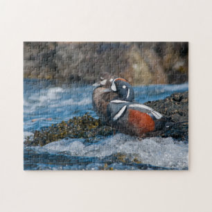Puzzle Harlequin Duck en el océano