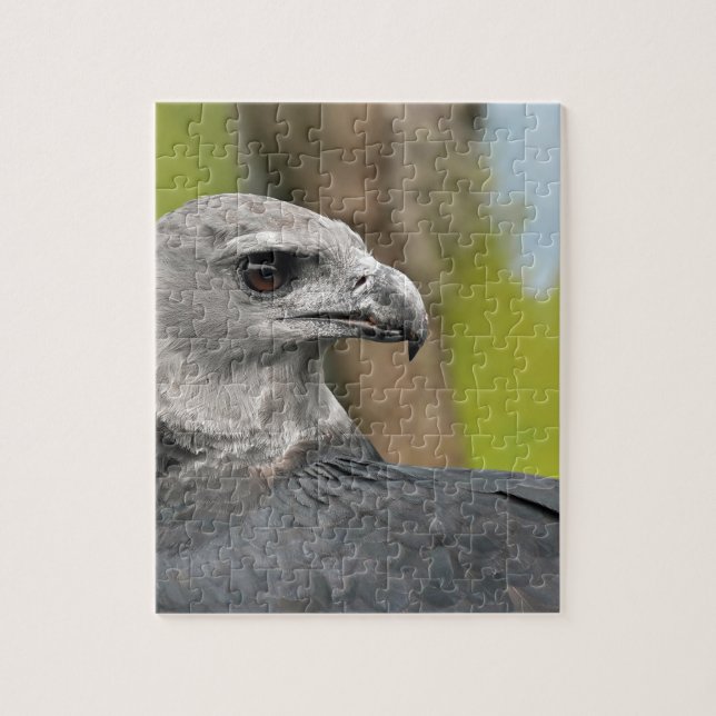 Puzzle Harpy Eagle 1.JPG (Vertical)