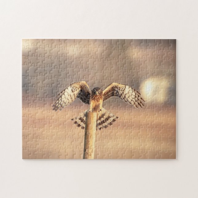 Puzzle Harrier septentrional en las praderas de Shawangun (Horizontal)