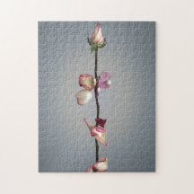 Hasta el último pétalo...