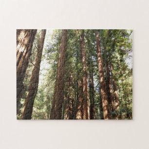 Puzzle Hasta Redwoods II en el Monumento Nacional Muir Wo