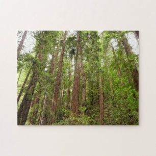 Puzzle Hasta secuoyas en el Monumento Nacional Muir Woods