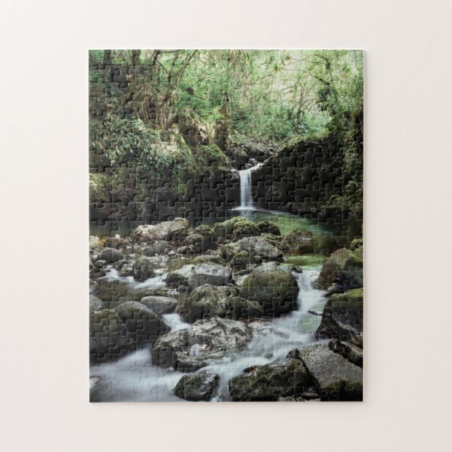 Puzzle Hawaii, Maui, una cascada fluye hacia el estanque  (Vertical)