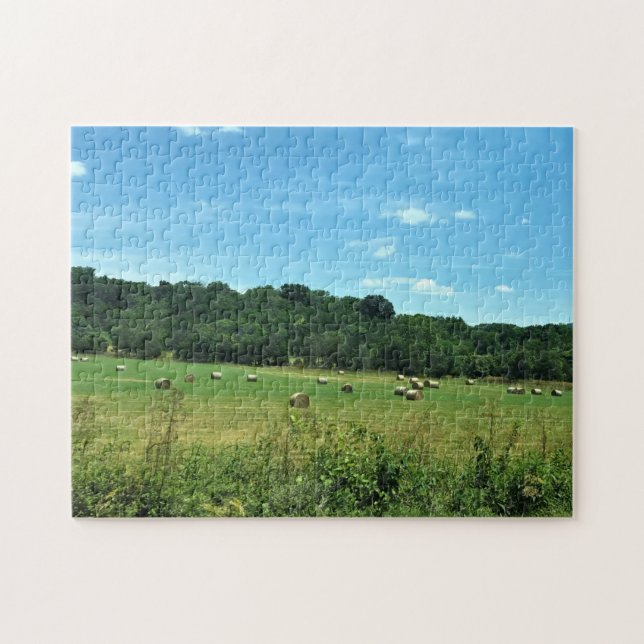 Puzzle Hay Bales, Wytheville, Virginia (Horizontal)
