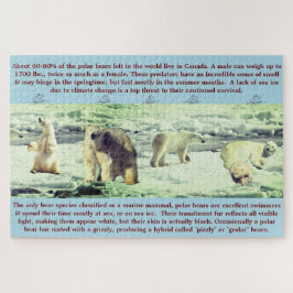 Puzzle Hechos del divertido del oso polar 20"x30" - 1.014