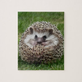 Puzzle Hedgehog