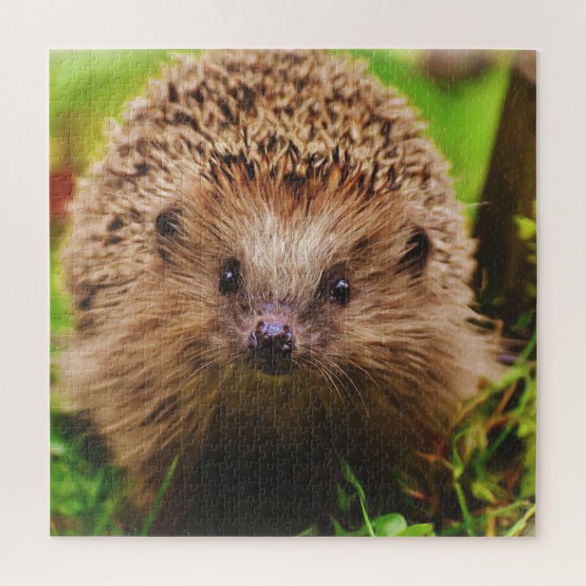 Puzzle Hedgehog Curiously Exploring in Nature (Vertical)