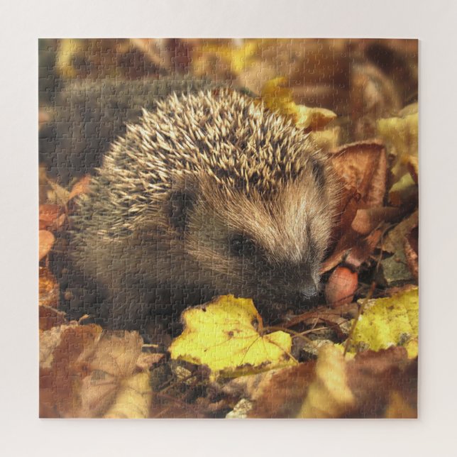 Puzzle Hedgehog En Otoño (Vertical)