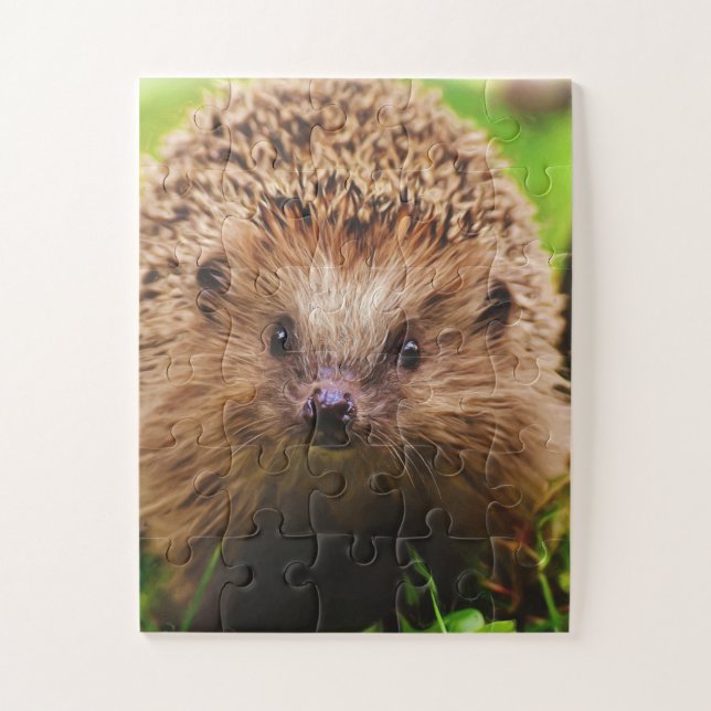 Puzzle Hedgehog explorando curiosamente la naturaleza (Vertical)