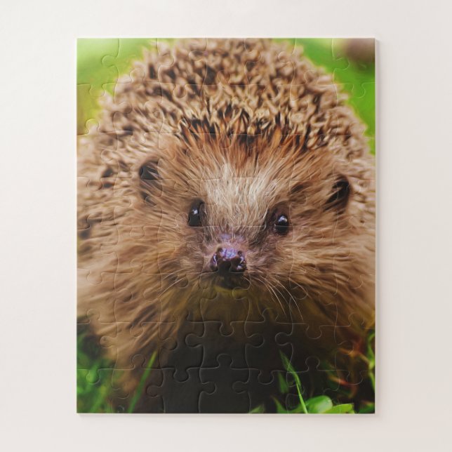 Puzzle Hedgehog explorando curiosamente la naturaleza (Vertical)