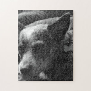 Puzzle Heeler azul
