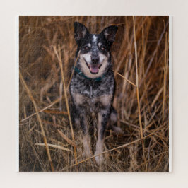 Puzzle Heeler de perro de ganado australiano
