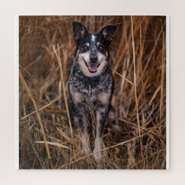 Puzzle Heeler de perro de ganado australiano (Vertical)