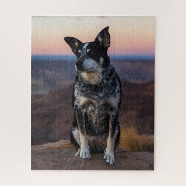 Puzzle Heeler de perro de ganado australiano - Sunset - (Vertical)