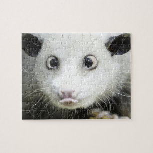 Puzzle Heidi The Cross Eyed Opossum