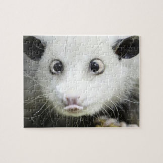 Puzzle Heidi The Cross Eyed Opossum