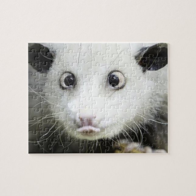 Puzzle Heidi The Cross Eyed Opossum (Horizontal)