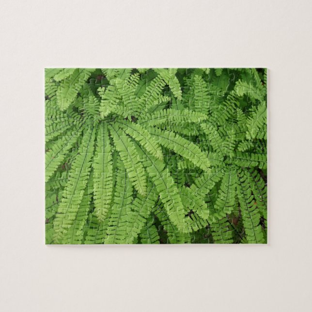Puzzle Helecho Maidenhair de Cinco Dedos (Horizontal)