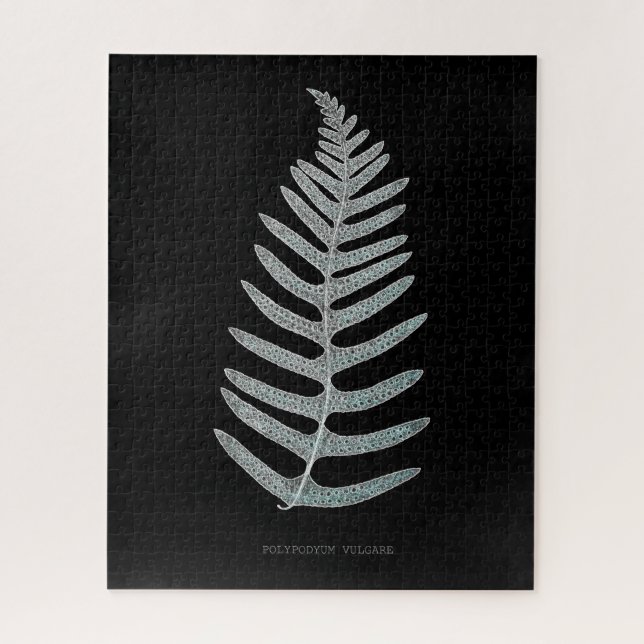 Puzzle Helecho - Polypodyum Vulgare - Efecto de rayos X - (Vertical)
