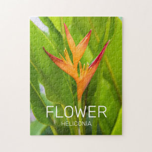 Puzzle Heliconia Flowers Botanic Plant Garden Design