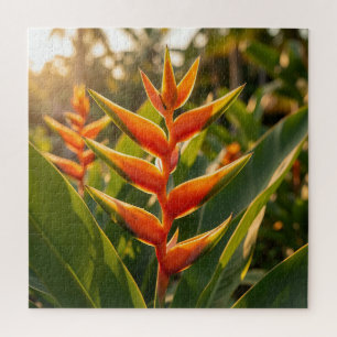 Puzzle Heliconia Naranja Flor Tropical Hora Dorada 