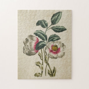 Puzzle Hellebore floral botánico