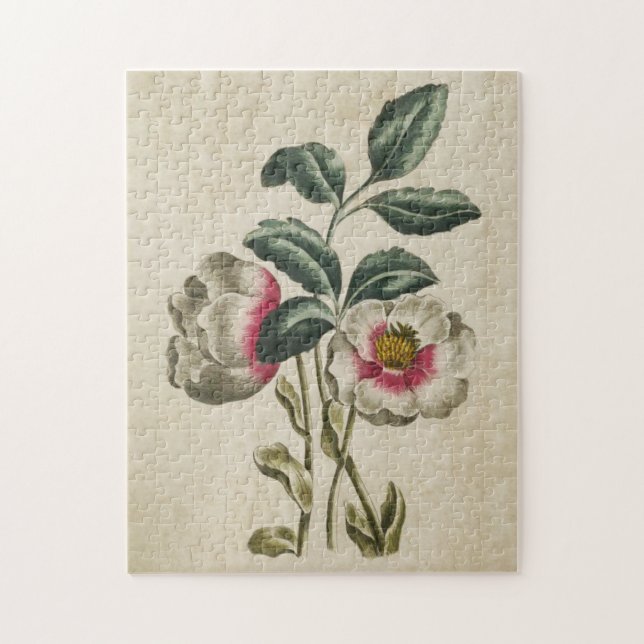 Puzzle Hellebore floral botánico (Vertical)