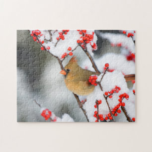Puzzle hembra de cardenal norteño en Common Winterberry