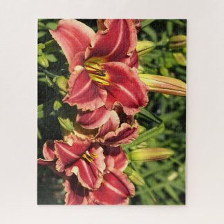 Puzzle hemerocallis