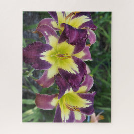 Puzzle hemerocallis