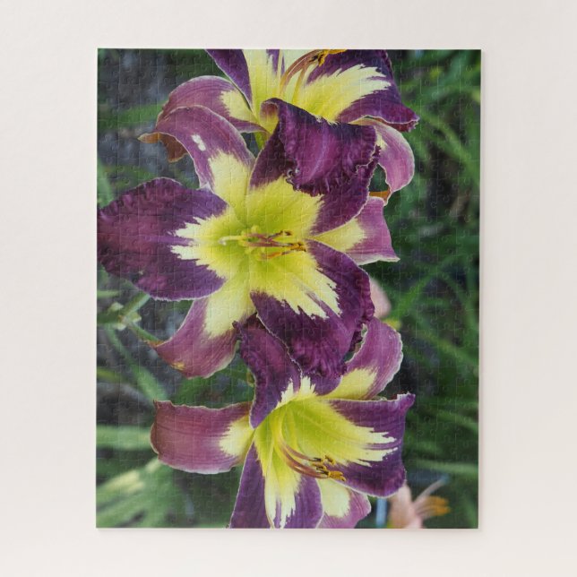 Puzzle hemerocallis (Vertical)