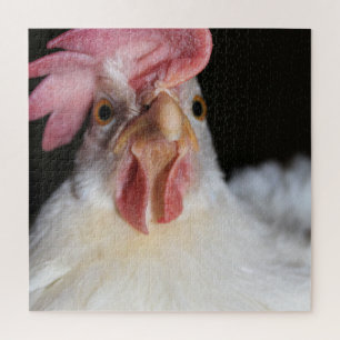 Puzzle Hen