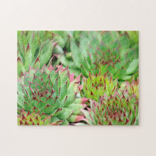 Puzzle Hen verde y chicles exitosos