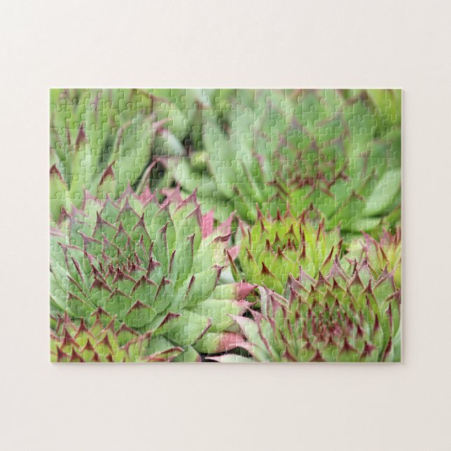 Puzzle Hen verde y chicles exitosos (Horizontal)