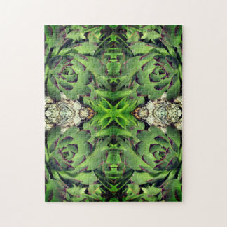 Puzzle Hens And Chicks Garden Aceleran De Manera Suculent